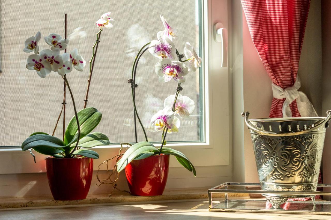 Ferienwohnung Jenzigblick Jena Bagian luar foto